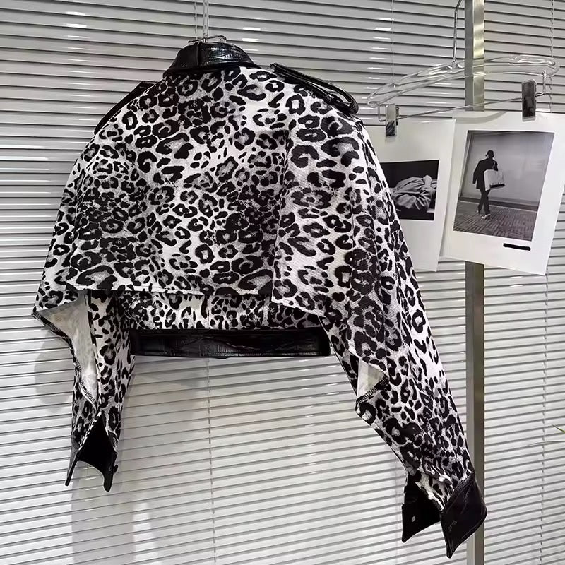 Jacket - ID: 6869